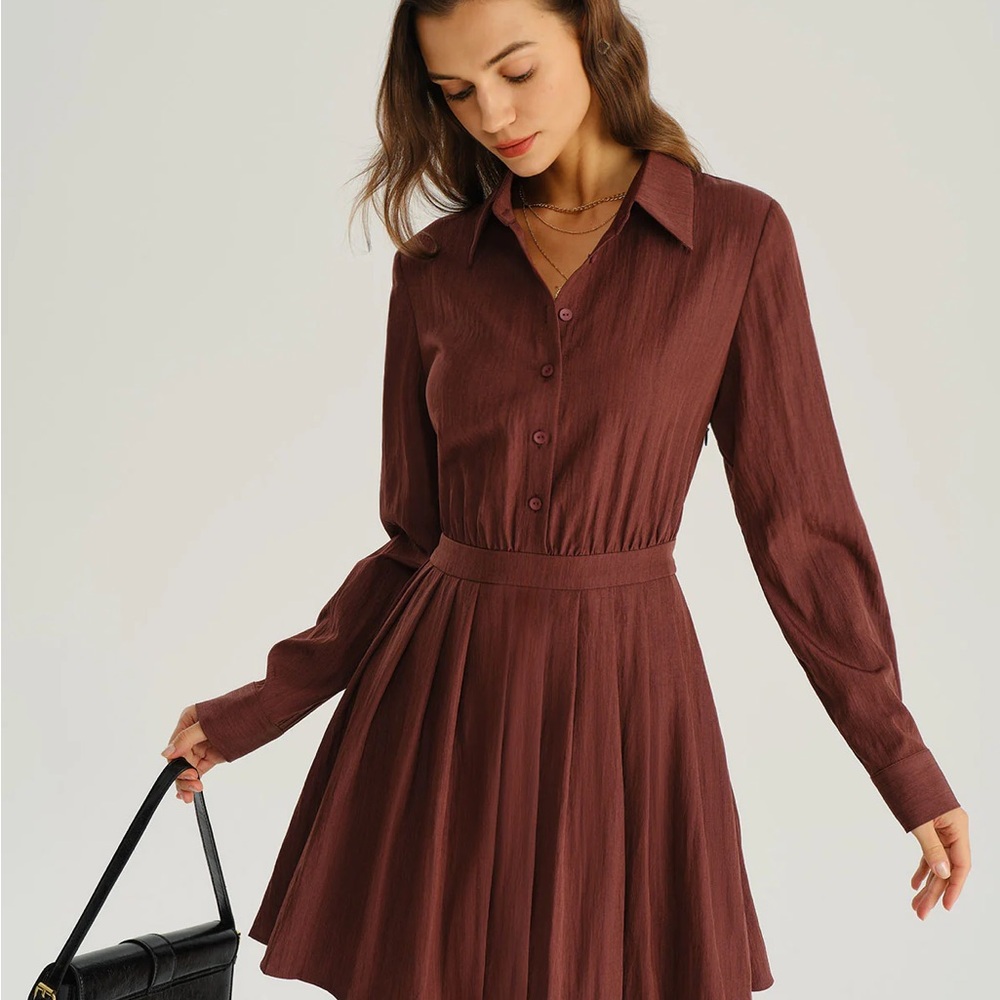 Brick Red A-Line Pleated Mini Dress